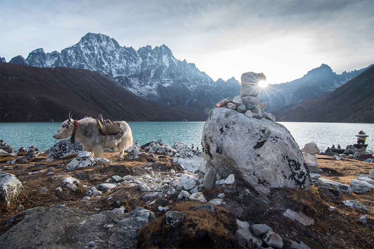 gokyo trek in spring with challenges